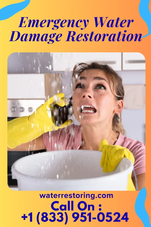 Emergency Water Damage Restoration in Basehor, KS