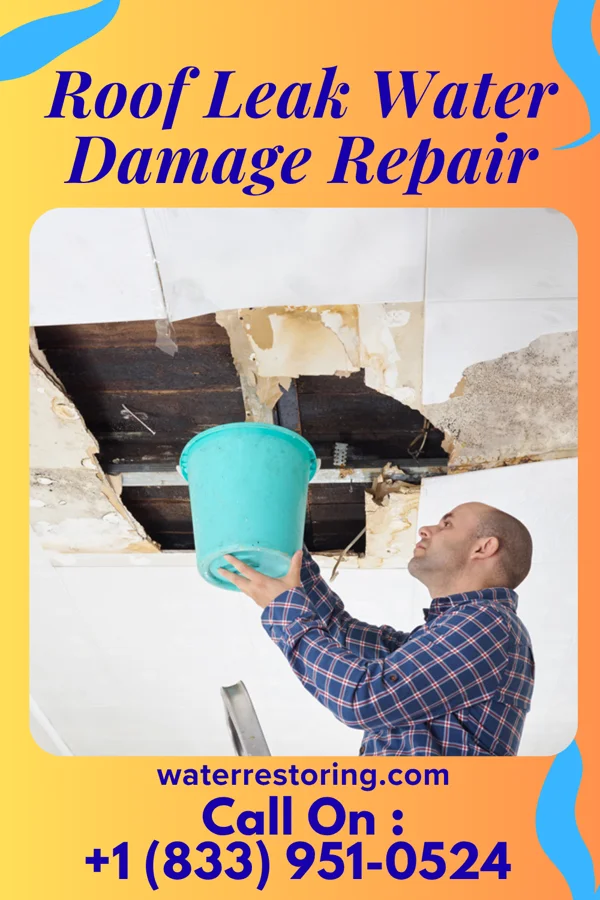Roof Leak Water Damage Repair in Basehor, KS