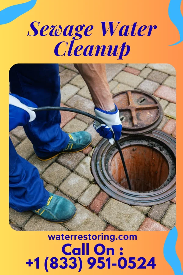 Sewage Water Cleanup in Basehor, KS